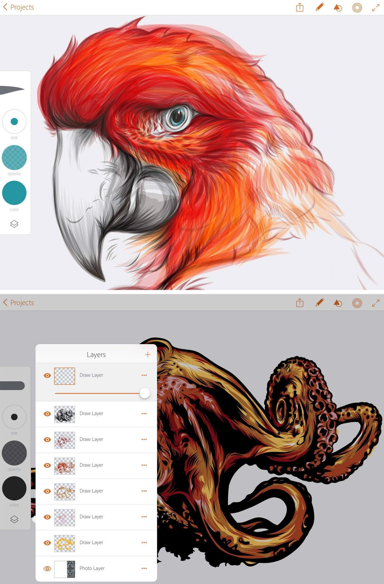 Adobe Illustrator Draw