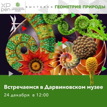 Увидимся в Дарвиновском музее